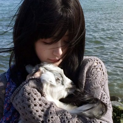 风驰电掣