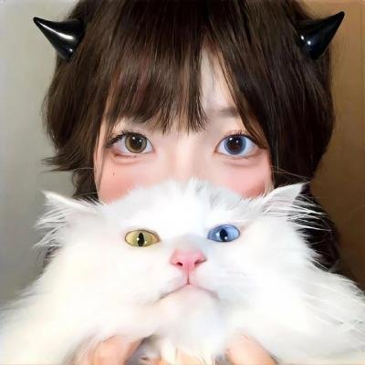 吸血鬼骑士第二季